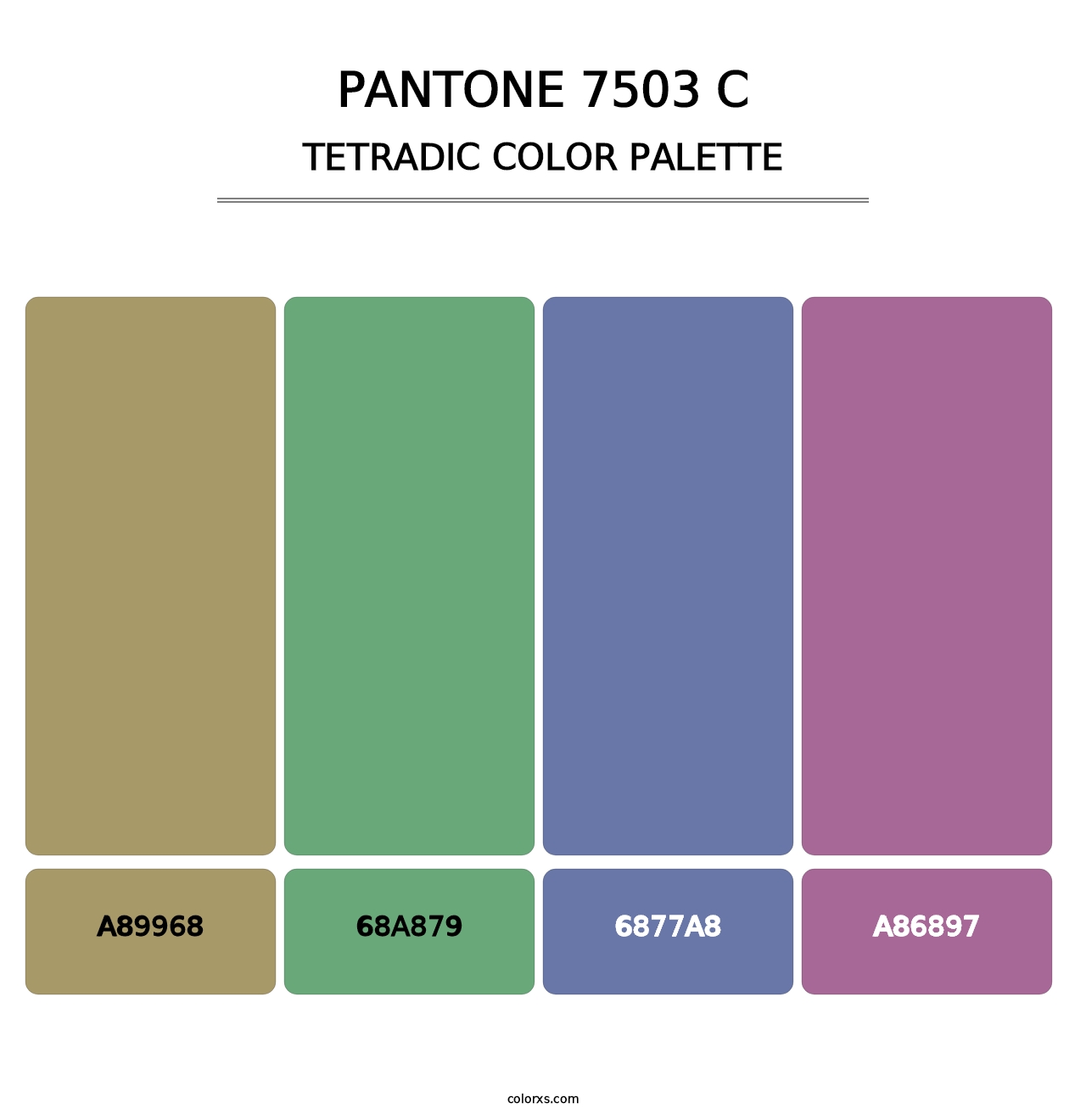 PANTONE 7503 C - Tetradic Color Palette