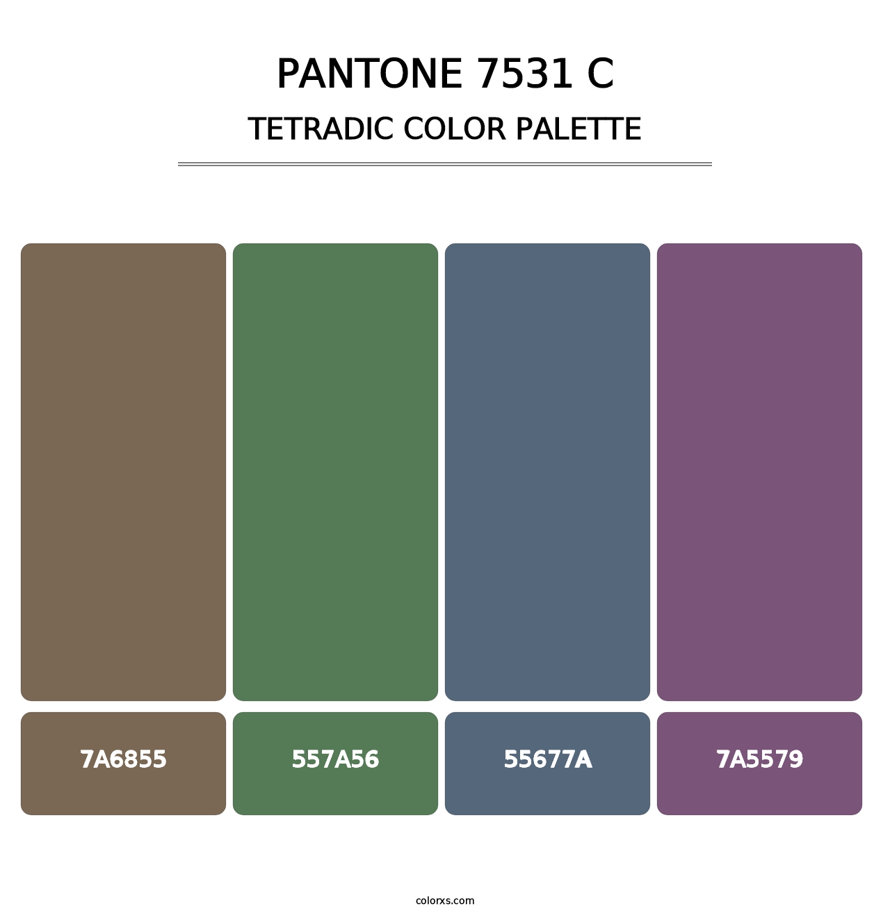 PANTONE 7531 C - Tetradic Color Palette