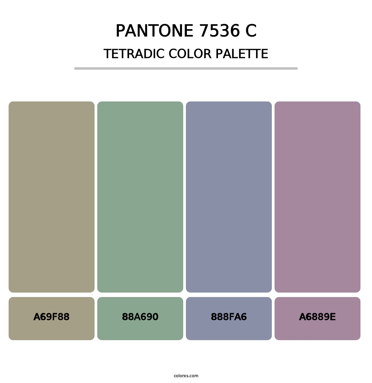 PANTONE 7536 C - Tetradic Color Palette