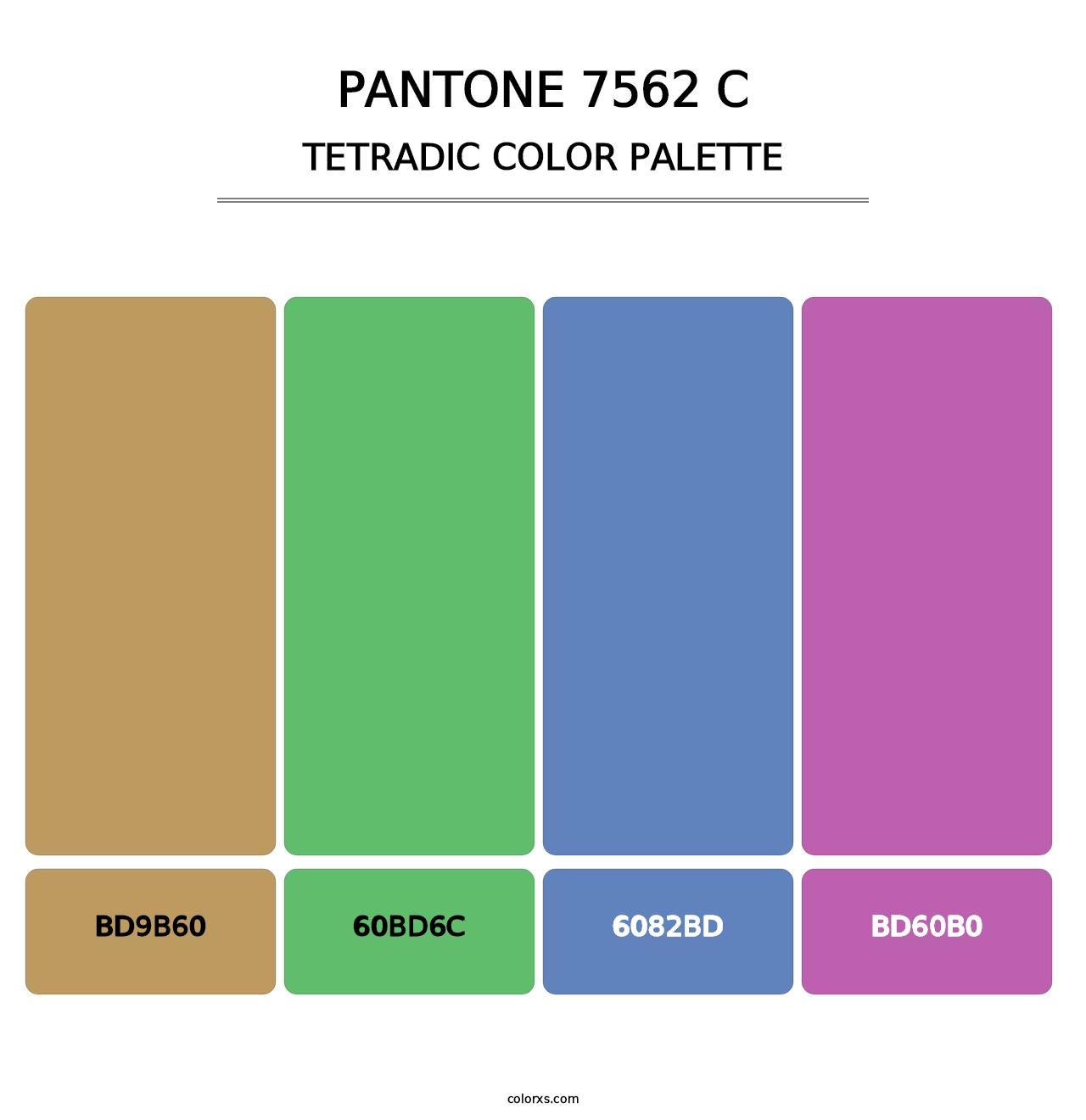 PANTONE 7562 C - Tetradic Color Palette