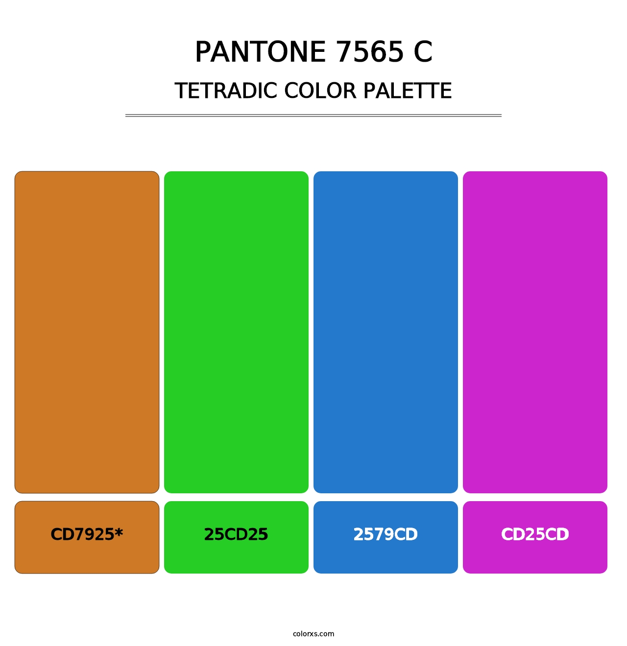 PANTONE 7565 C - Tetradic Color Palette