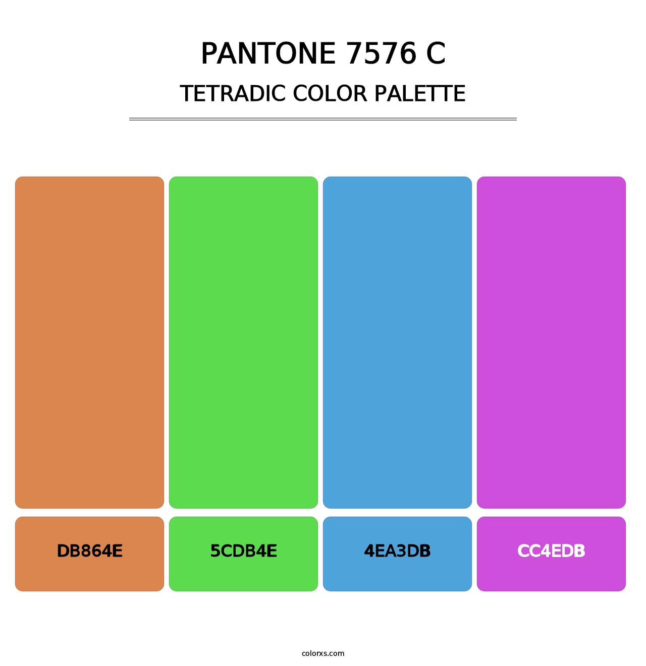 PANTONE 7576 C - Tetradic Color Palette