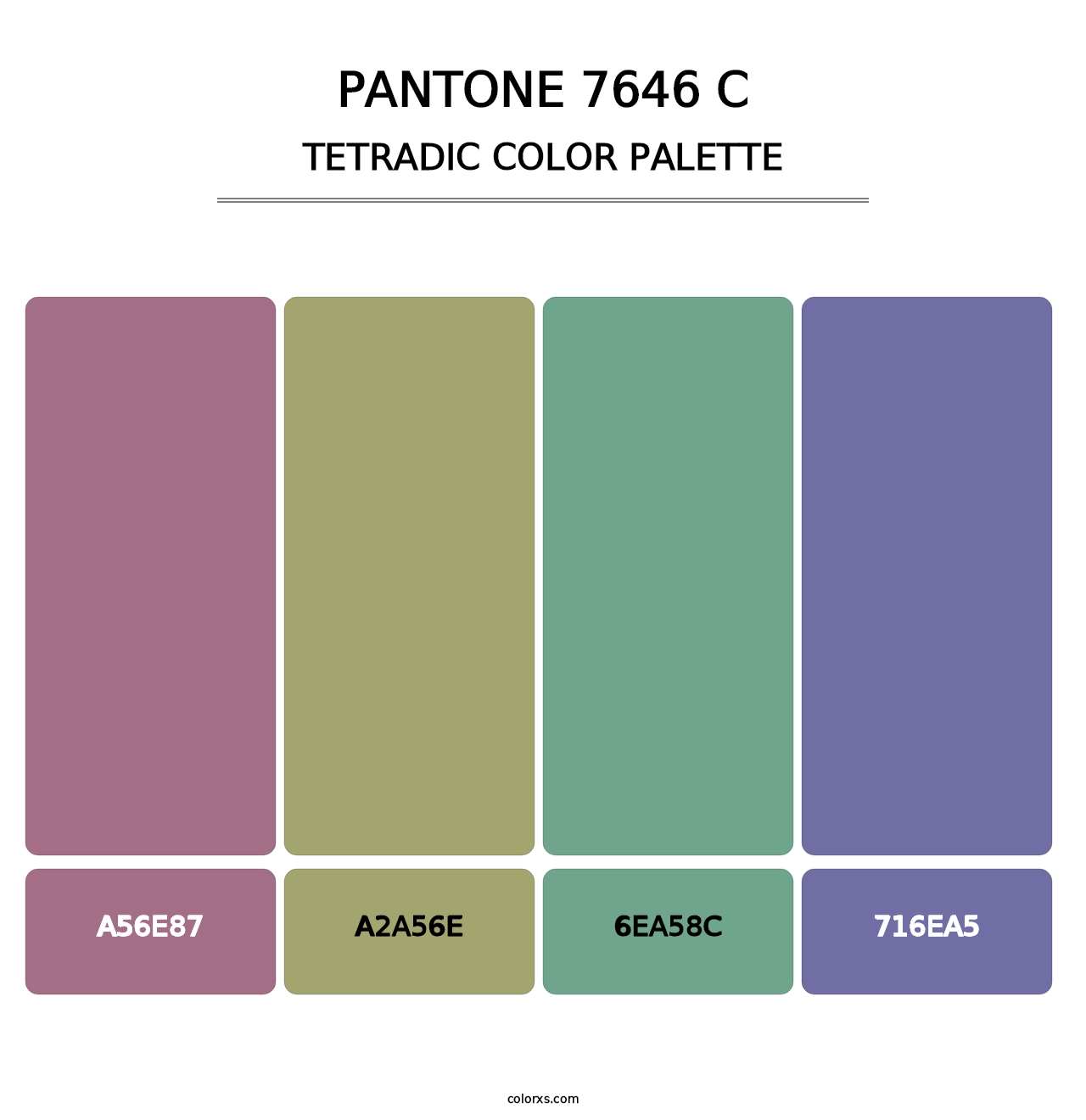 PANTONE 7646 C - Tetradic Color Palette