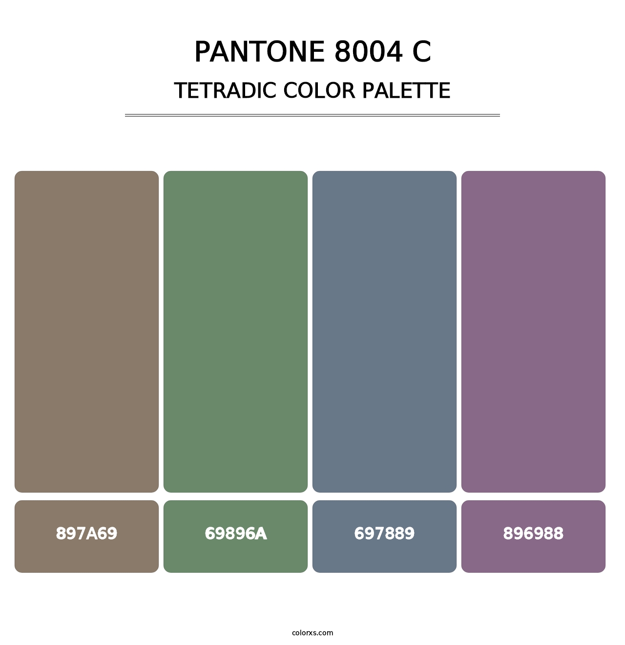 PANTONE 8004 C - Tetradic Color Palette