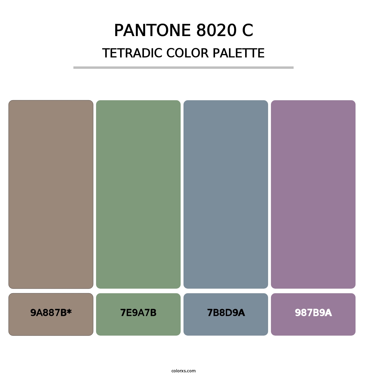 PANTONE 8020 C - Tetradic Color Palette