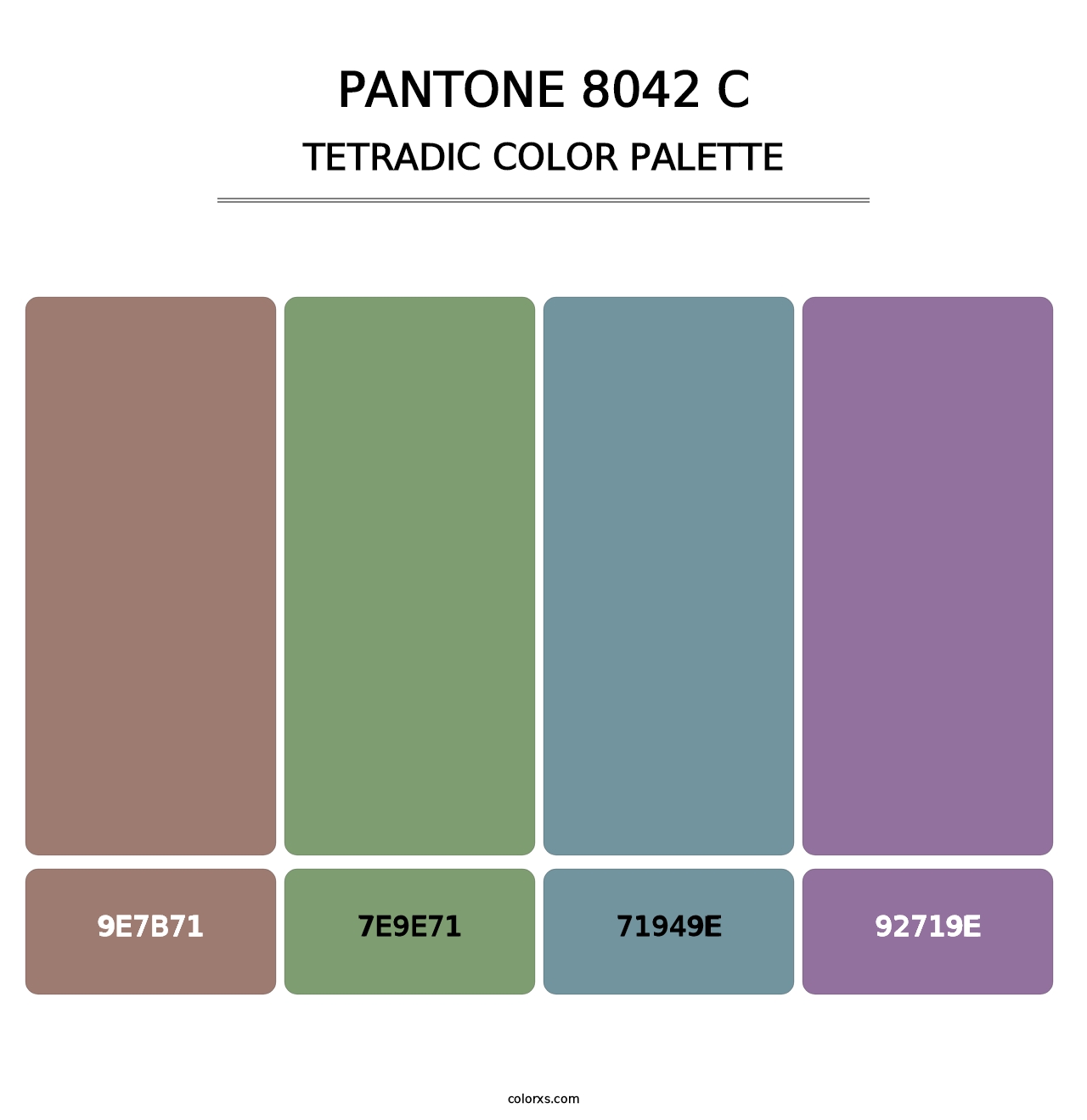 PANTONE 8042 C - Tetradic Color Palette