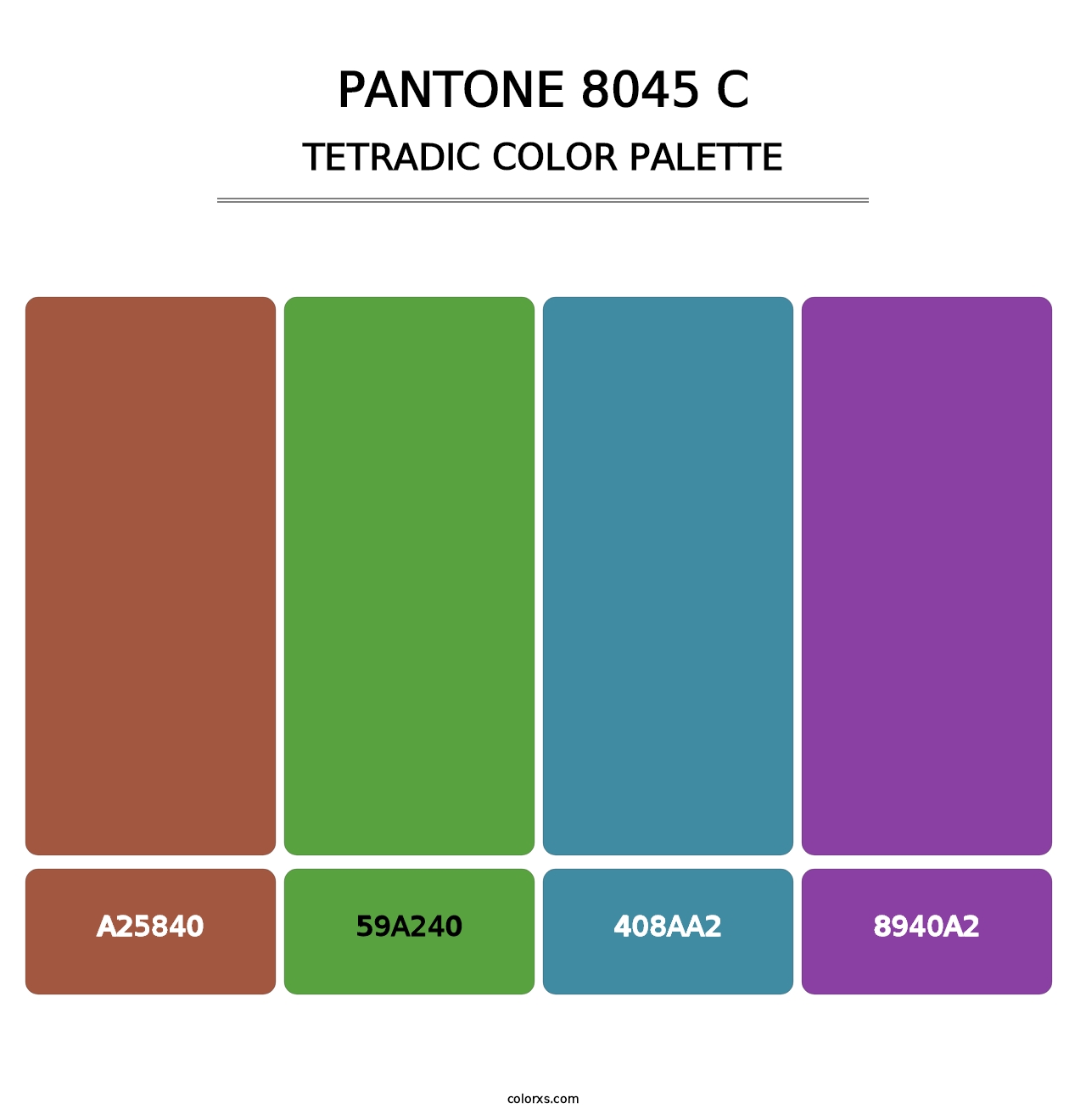 PANTONE 8045 C - Tetradic Color Palette