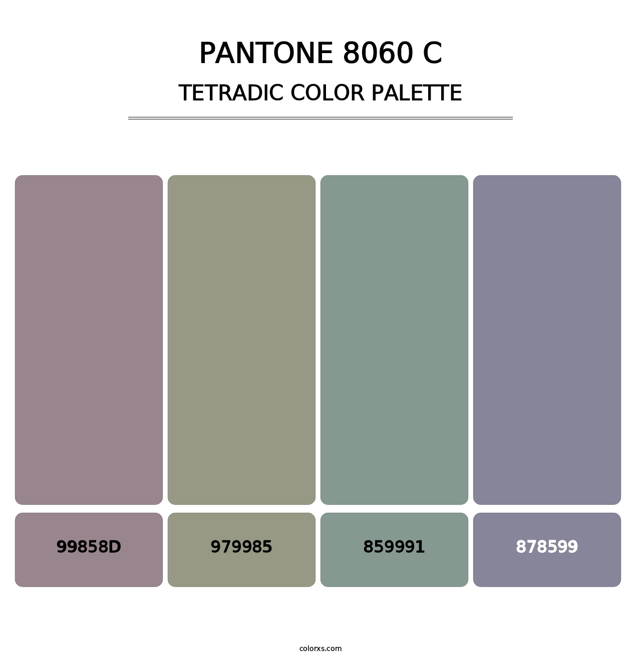 PANTONE 8060 C - Tetradic Color Palette