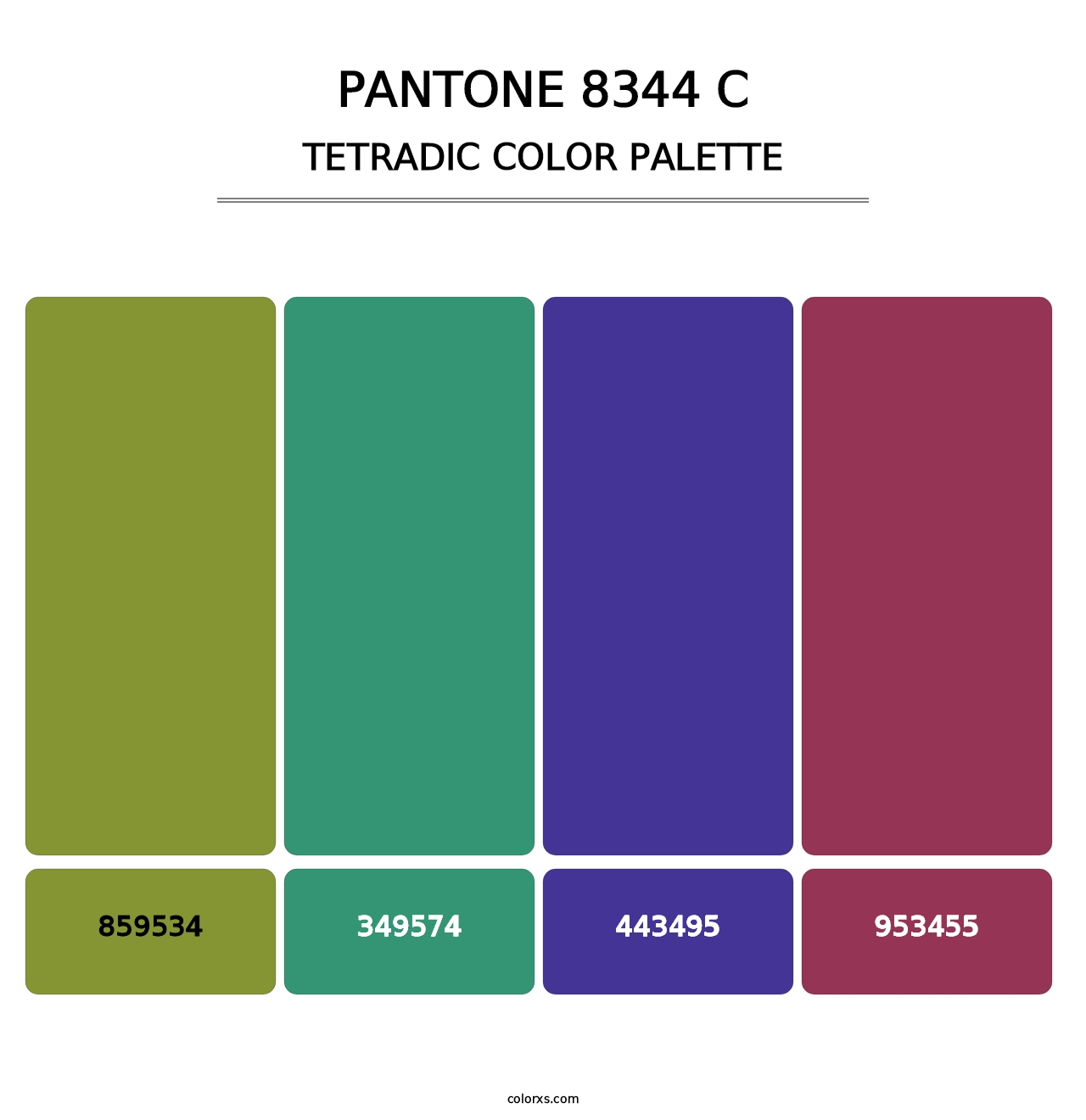 PANTONE 8344 C - Tetradic Color Palette