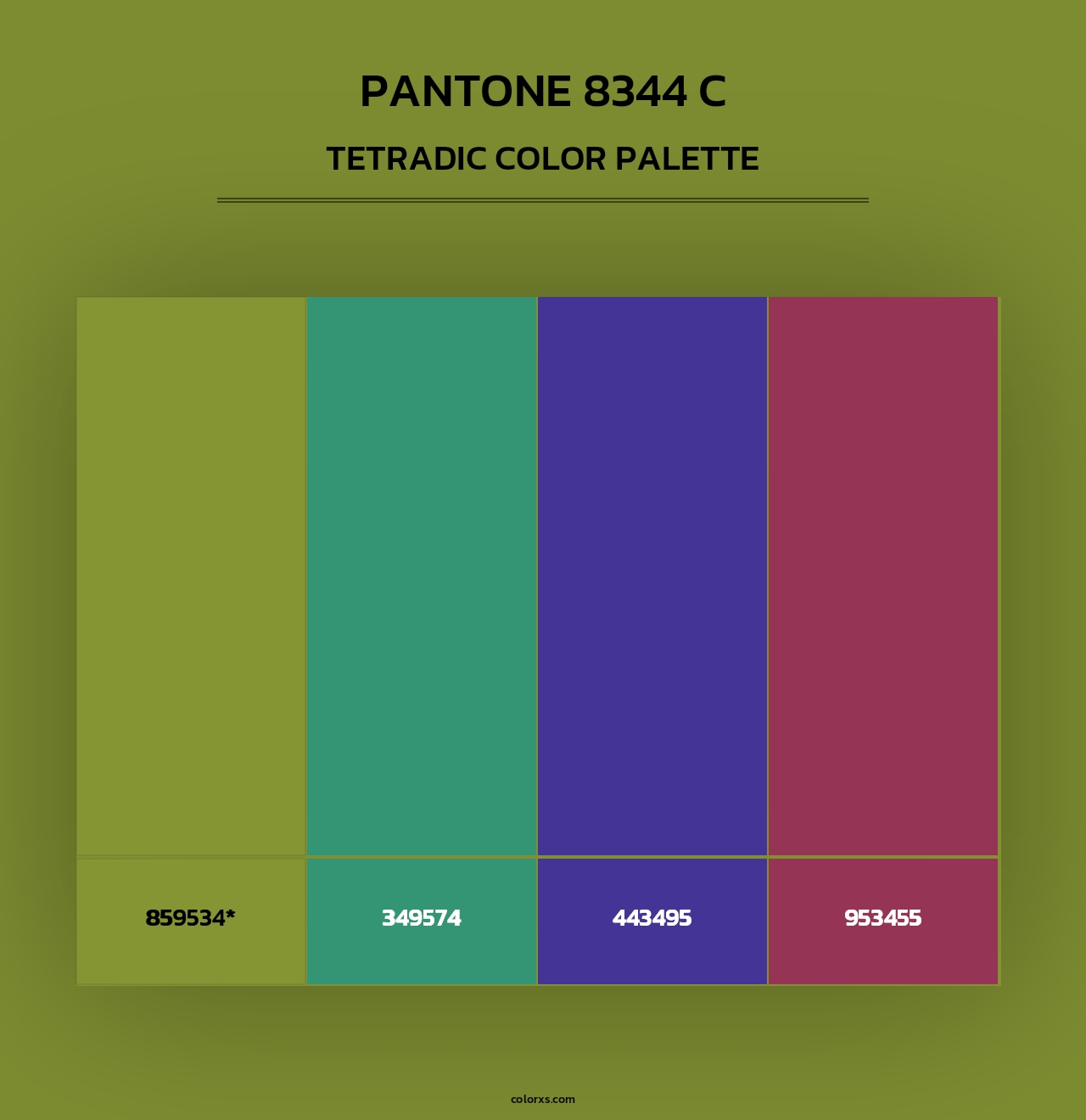 PANTONE 8344 C - Tetradic Color Palette