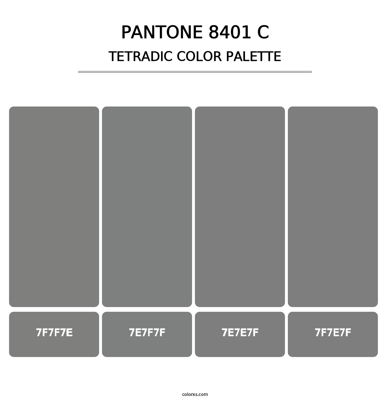 PANTONE 8401 C - Tetradic Color Palette