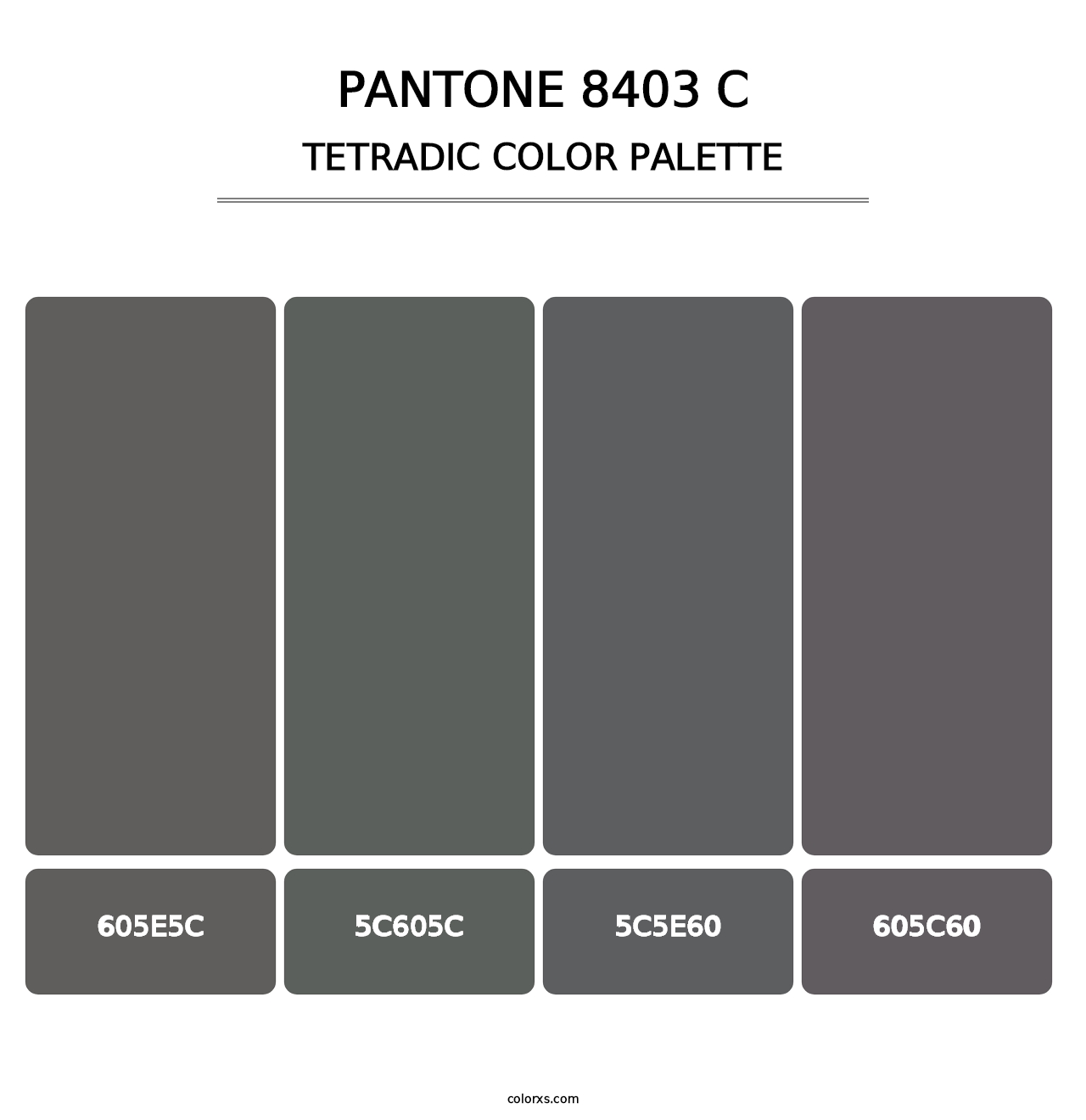 PANTONE 8403 C - Tetradic Color Palette