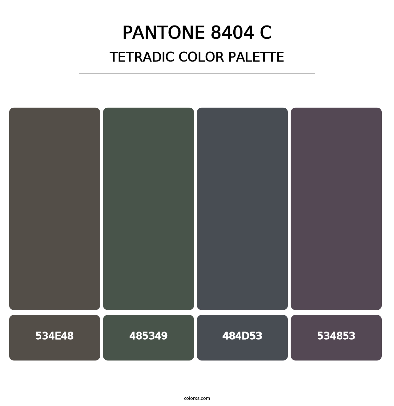 PANTONE 8404 C - Tetradic Color Palette