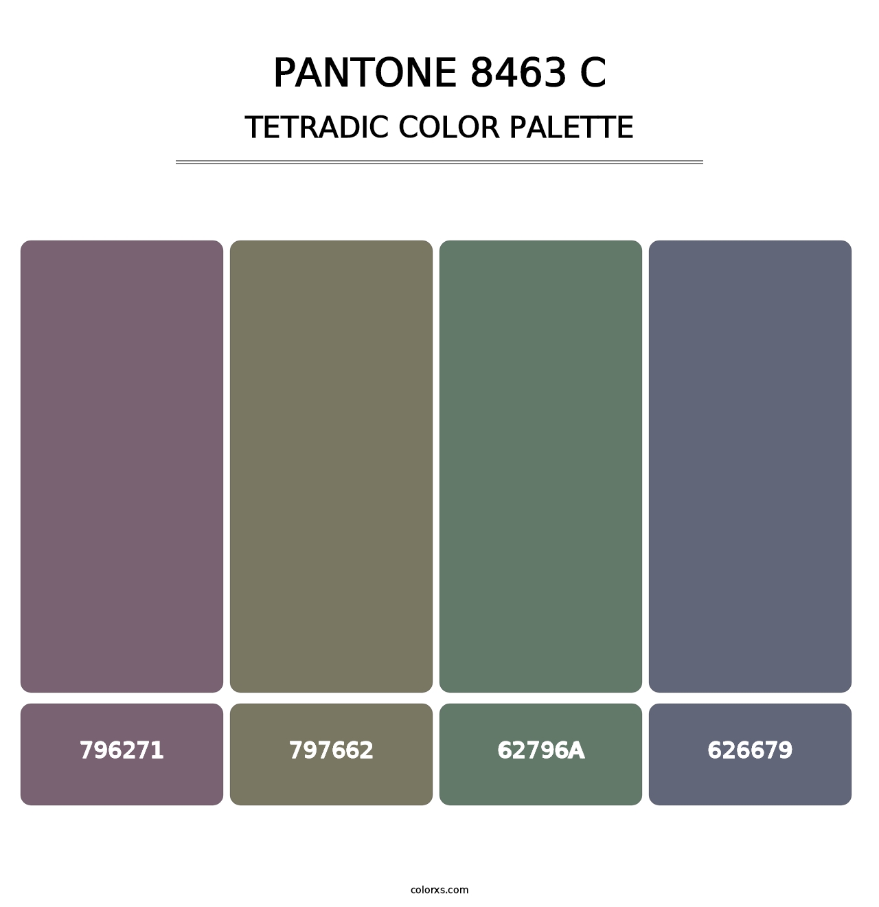 PANTONE 8463 C - Tetradic Color Palette