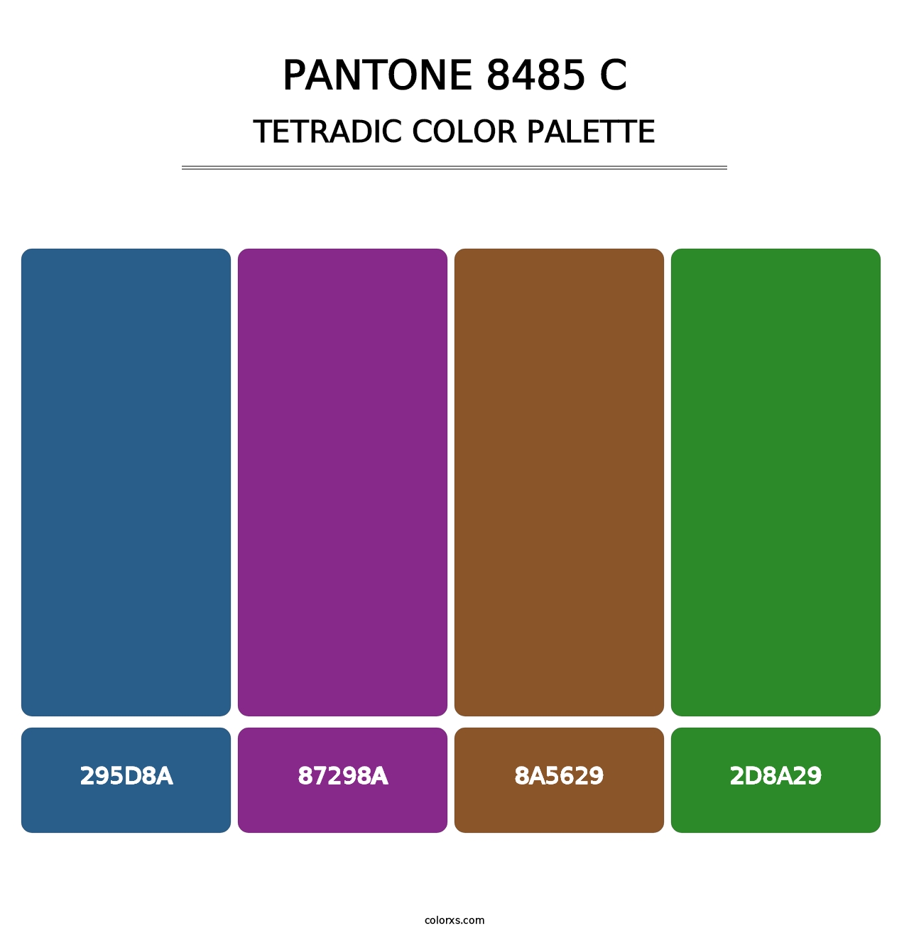 PANTONE 8485 C - Tetradic Color Palette