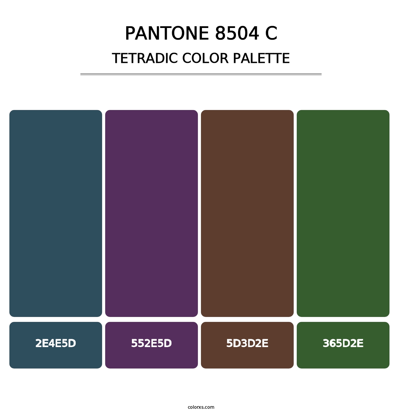 PANTONE 8504 C - Tetradic Color Palette