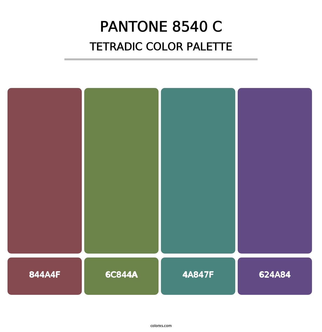 PANTONE 8540 C - Tetradic Color Palette