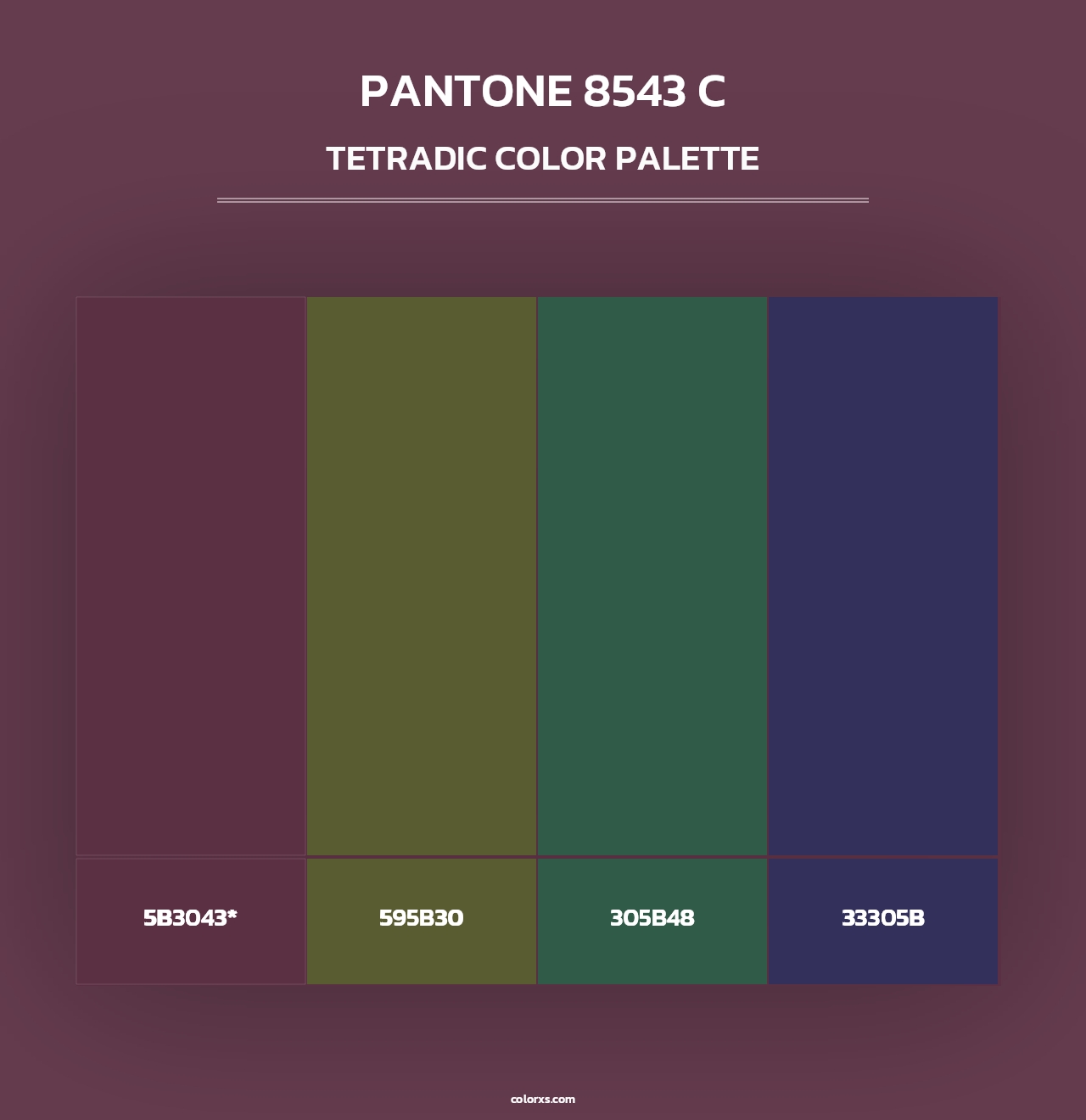 PANTONE 8543 C - Tetradic Color Palette