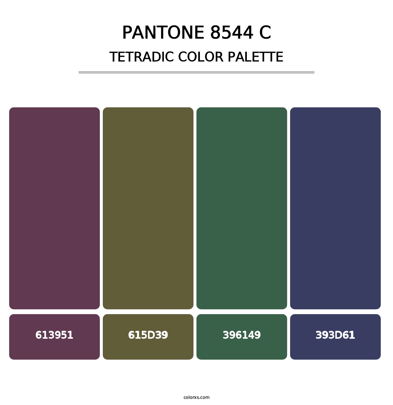 PANTONE 8544 C - Tetradic Color Palette