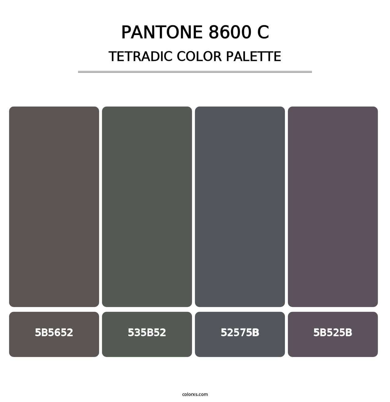 PANTONE 8600 C - Tetradic Color Palette