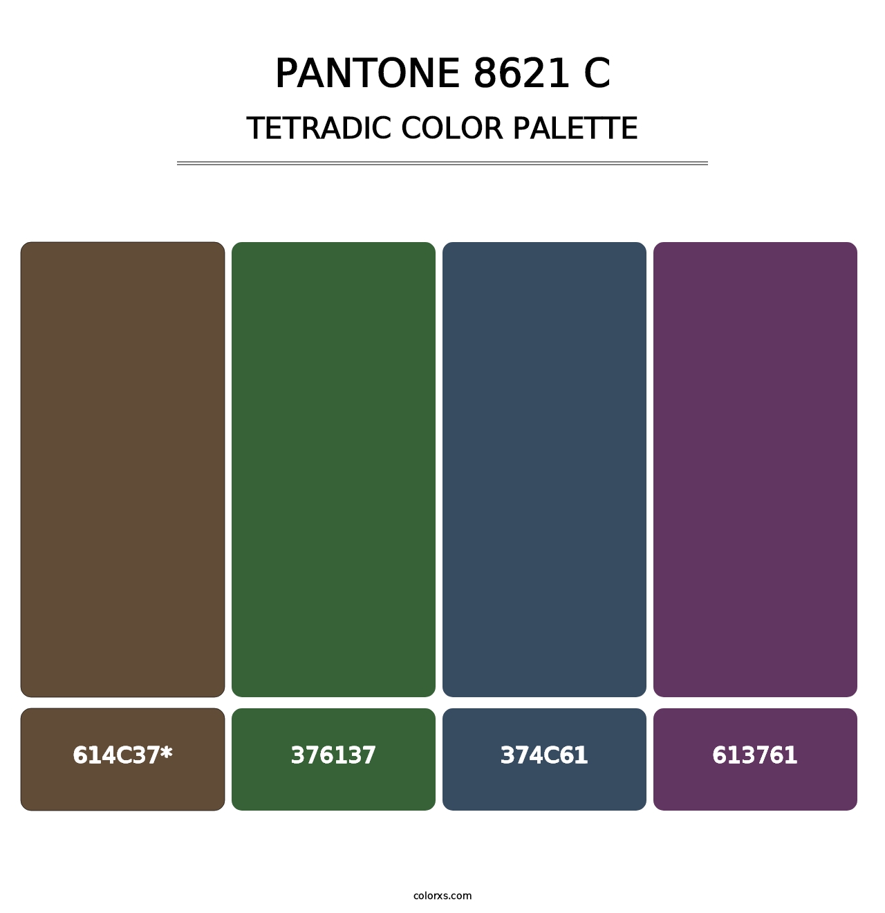 PANTONE 8621 C - Tetradic Color Palette