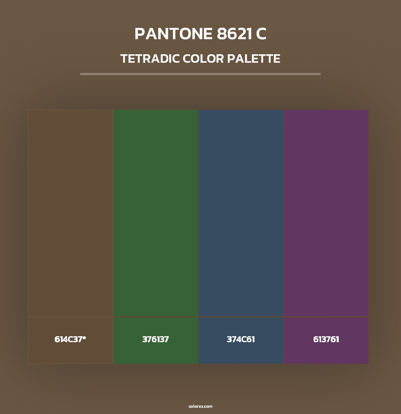 PANTONE 8621 C - Tetradic Color Palette