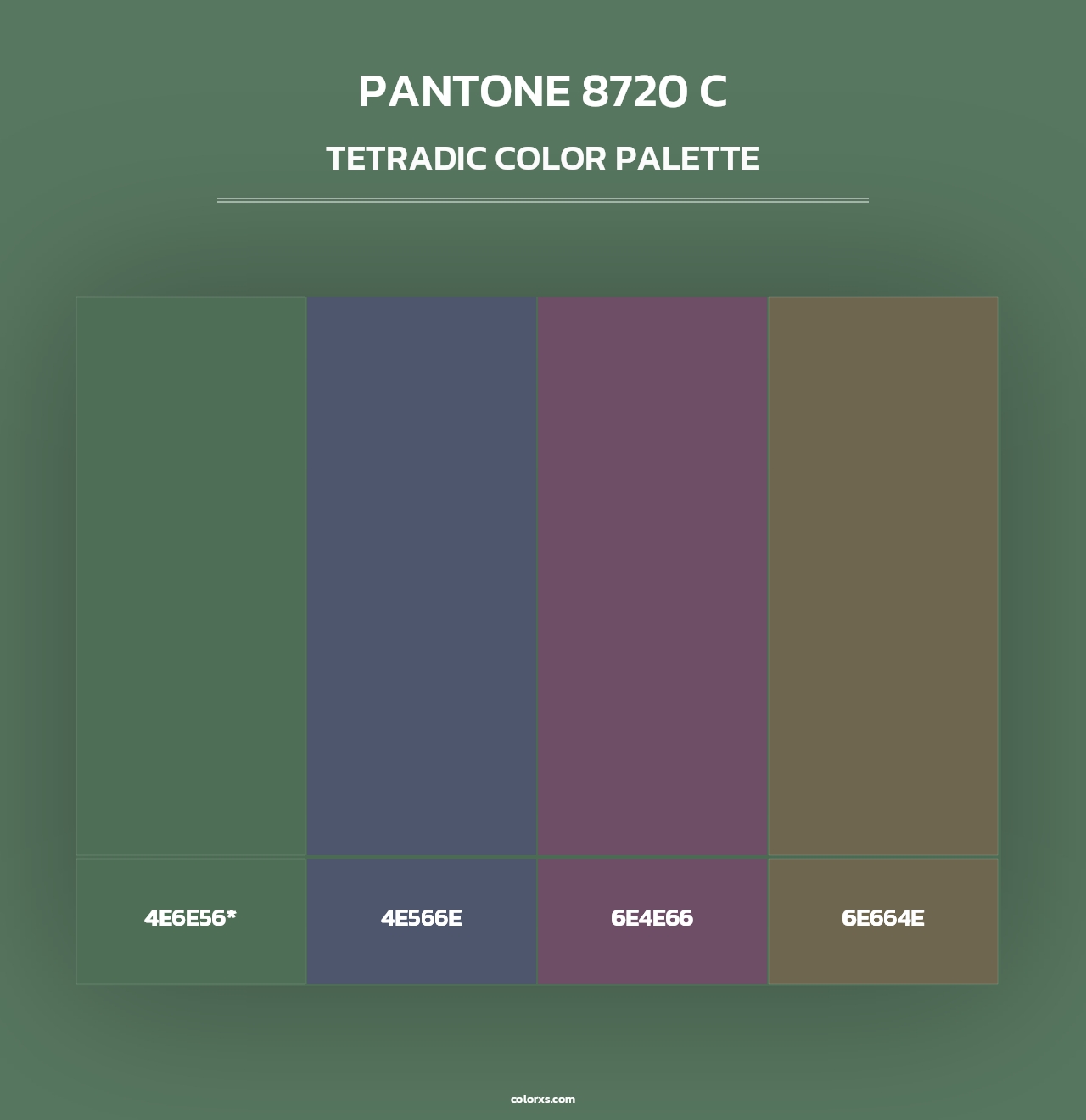 PANTONE 8720 C - Tetradic Color Palette