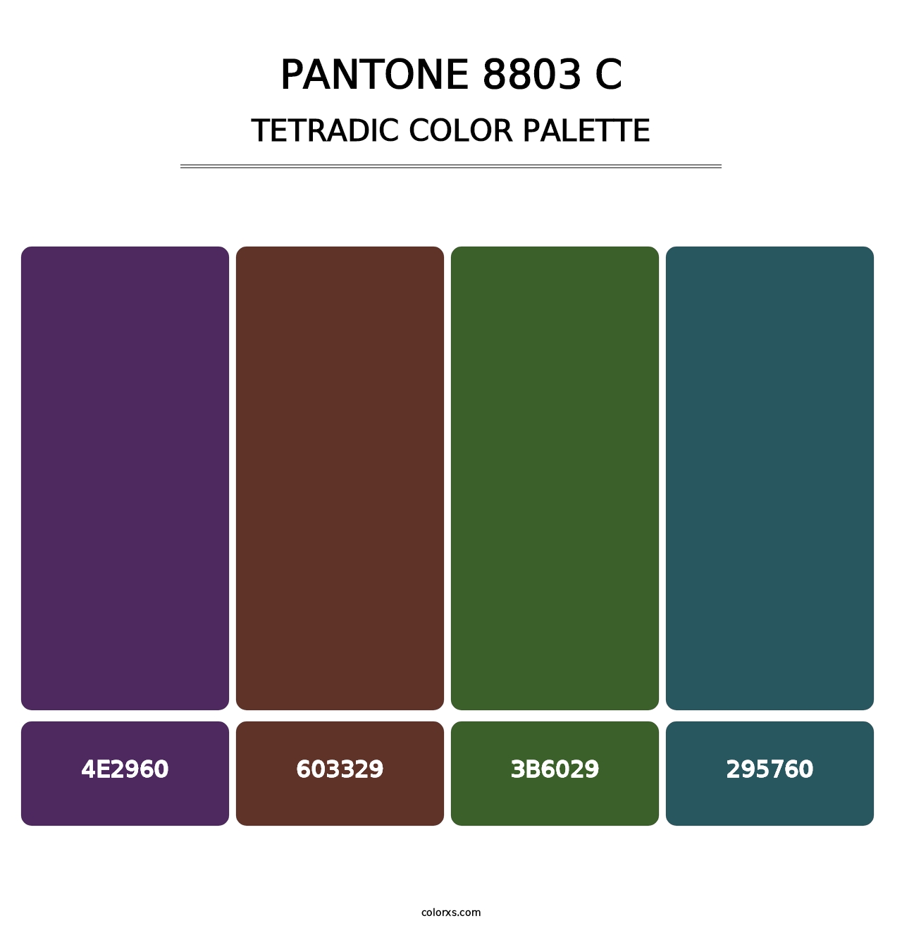 PANTONE 8803 C - Tetradic Color Palette