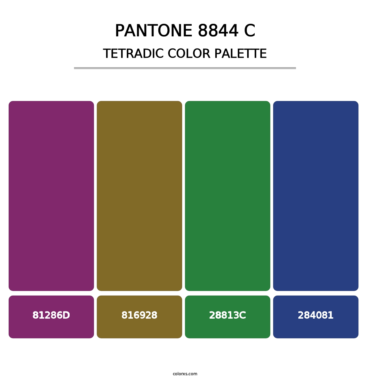 PANTONE 8844 C - Tetradic Color Palette