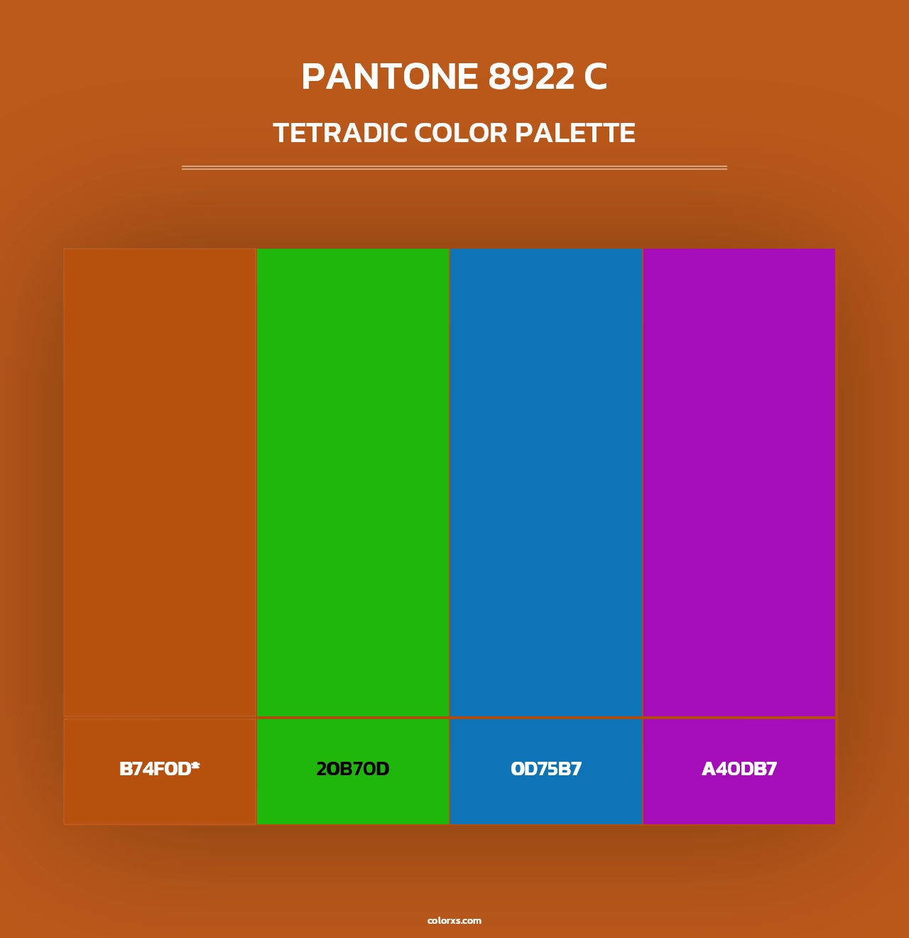PANTONE 8922 C - Tetradic Color Palette