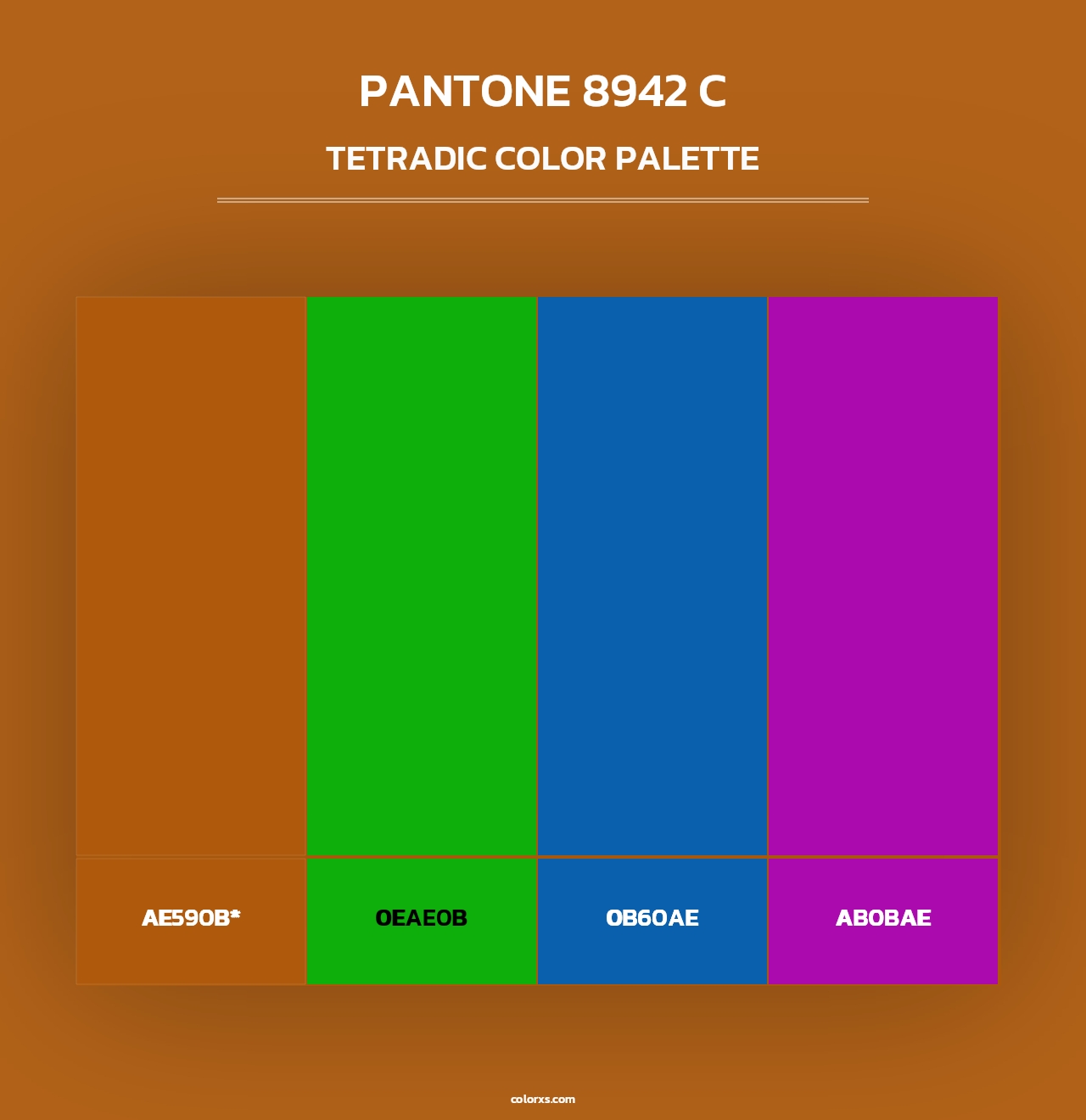 PANTONE 8942 C - Tetradic Color Palette