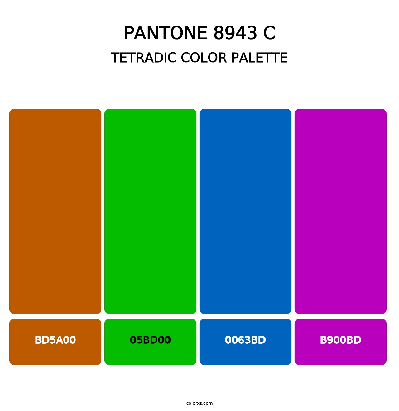 PANTONE 8943 C - Tetradic Color Palette