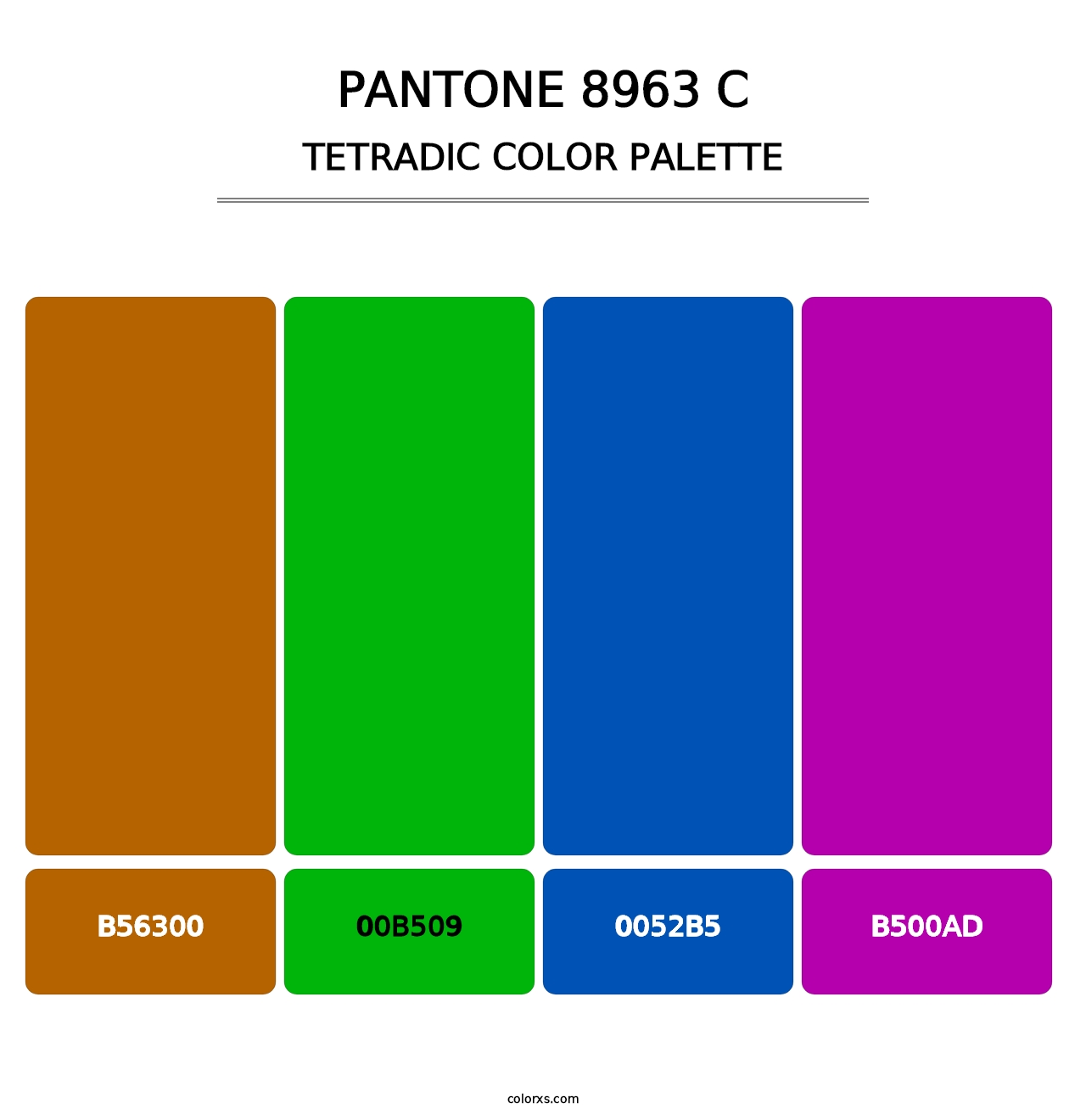 PANTONE 8963 C - Tetradic Color Palette