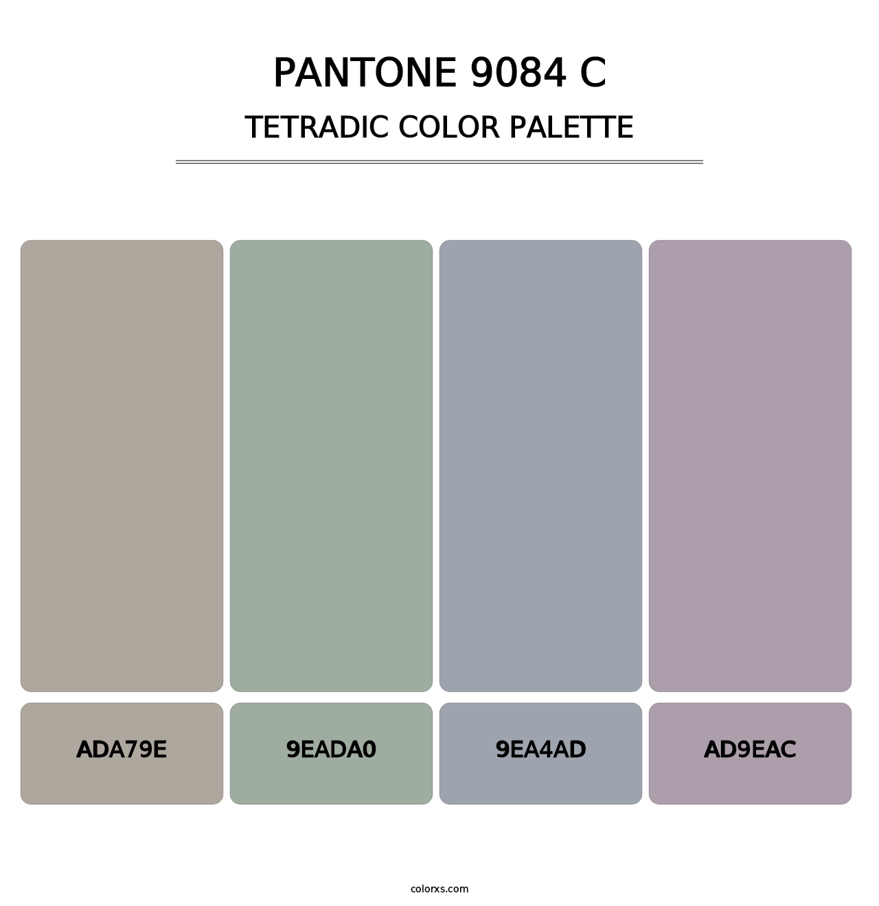 PANTONE 9084 C - Tetradic Color Palette