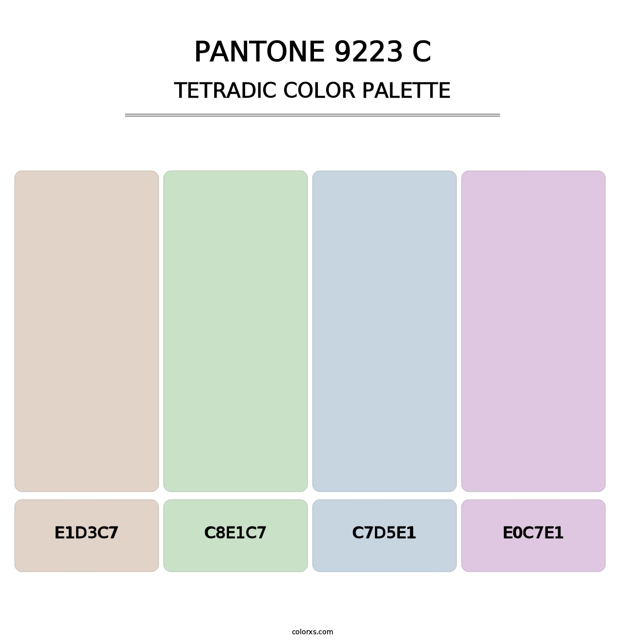PANTONE 9223 C - Tetradic Color Palette
