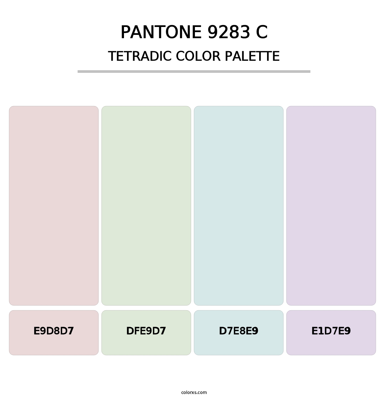 PANTONE 9283 C - Tetradic Color Palette