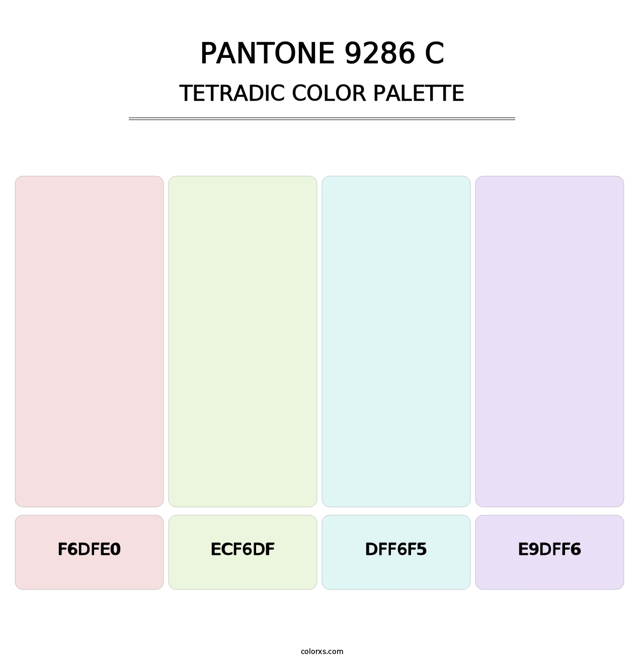 PANTONE 9286 C - Tetradic Color Palette