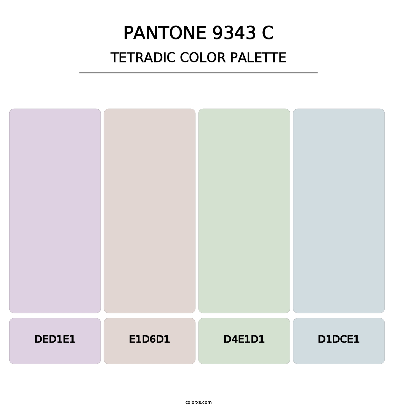 PANTONE 9343 C - Tetradic Color Palette