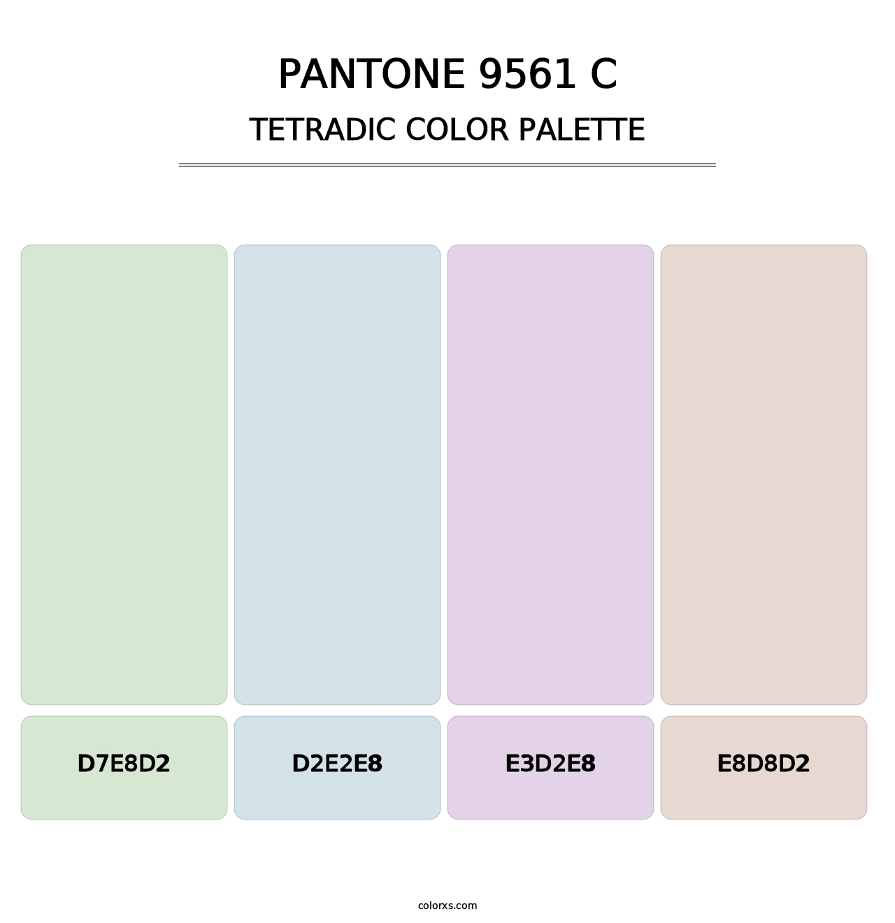PANTONE 9561 C - Tetradic Color Palette