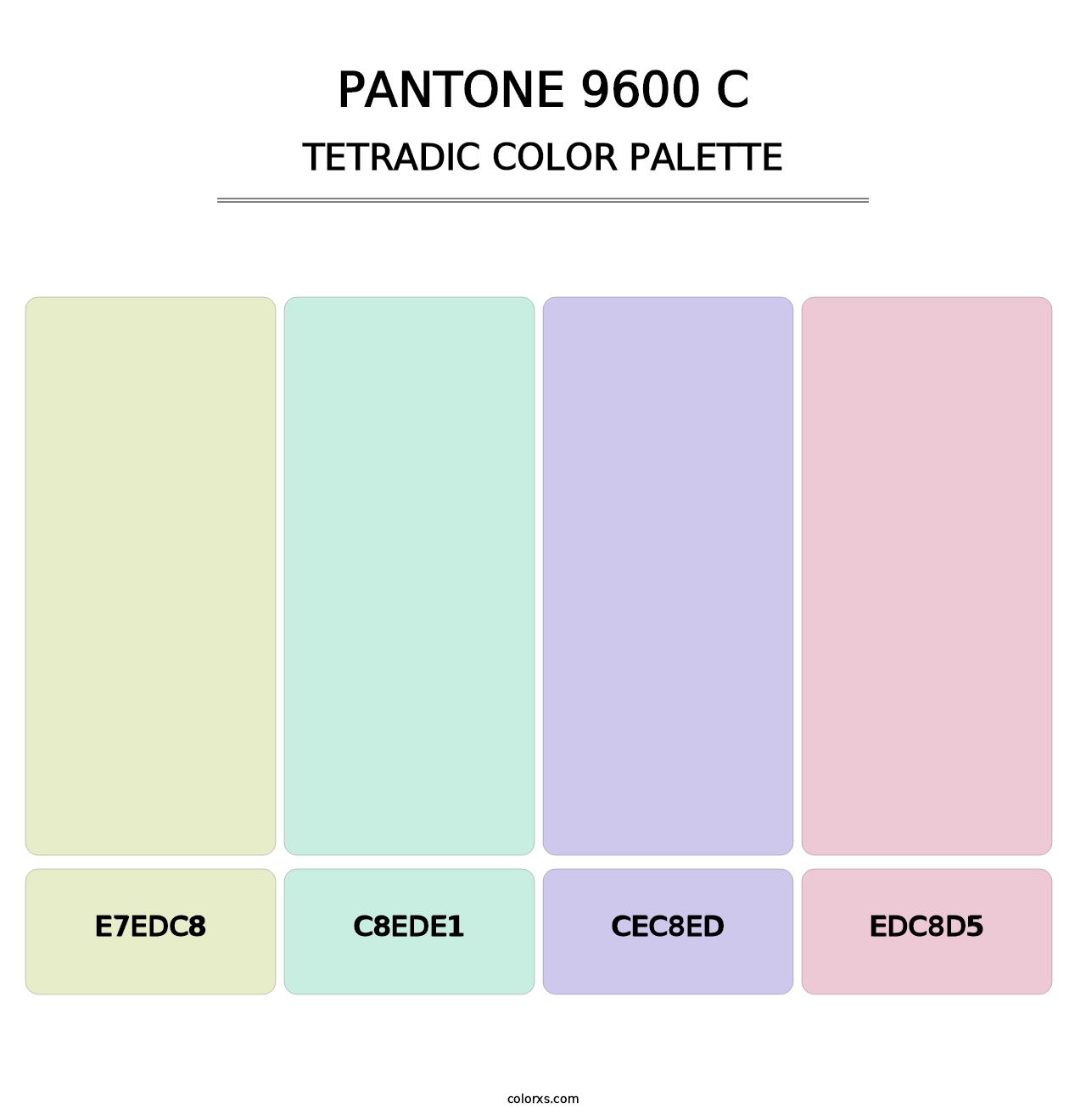 PANTONE 9600 C - Tetradic Color Palette