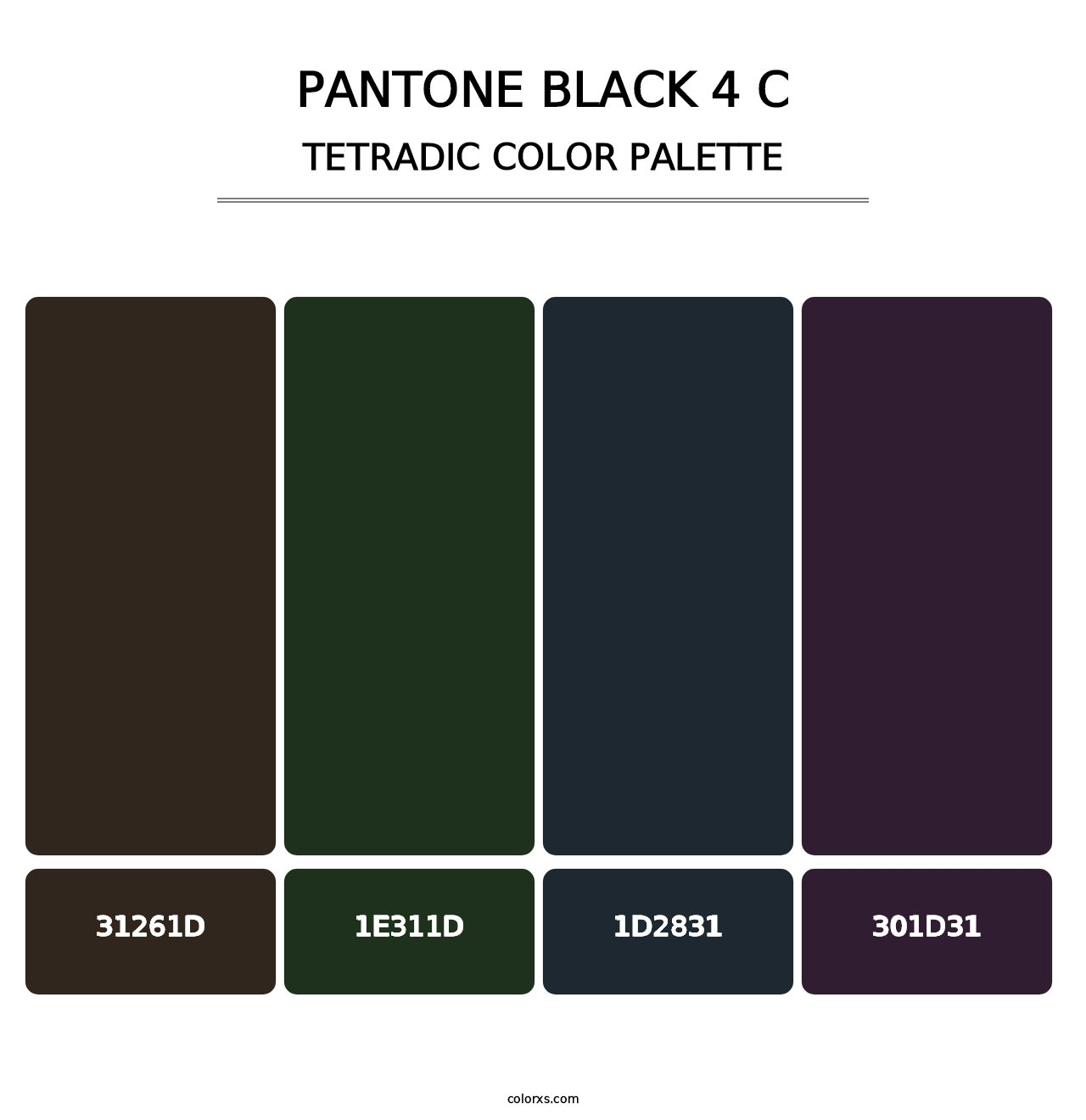 PANTONE Black 4 C - Tetradic Color Palette