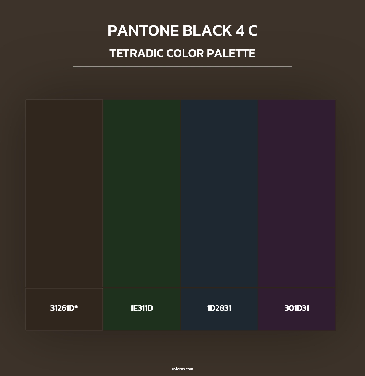 PANTONE Black 4 C - Tetradic Color Palette