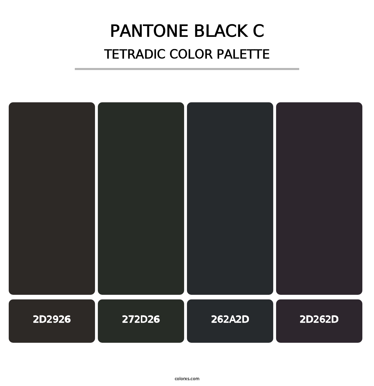 PANTONE Black C - Tetradic Color Palette