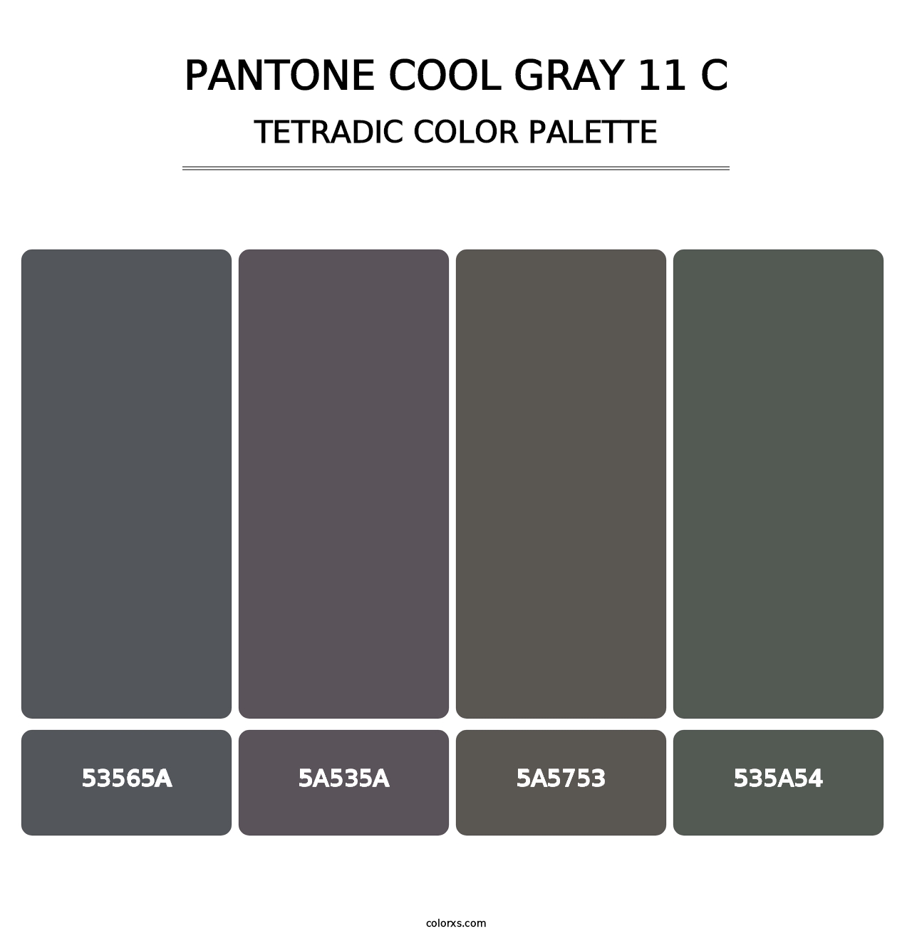 PANTONE Cool Gray 11 C - Tetradic Color Palette
