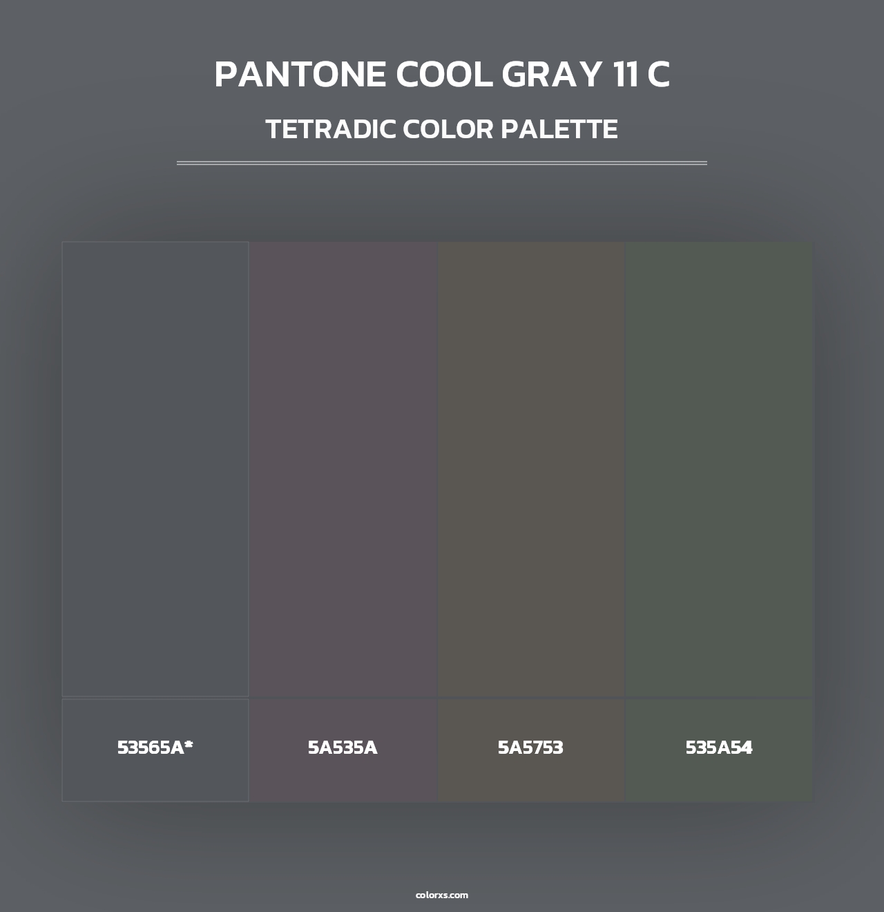 PANTONE Cool Gray 11 C - Tetradic Color Palette