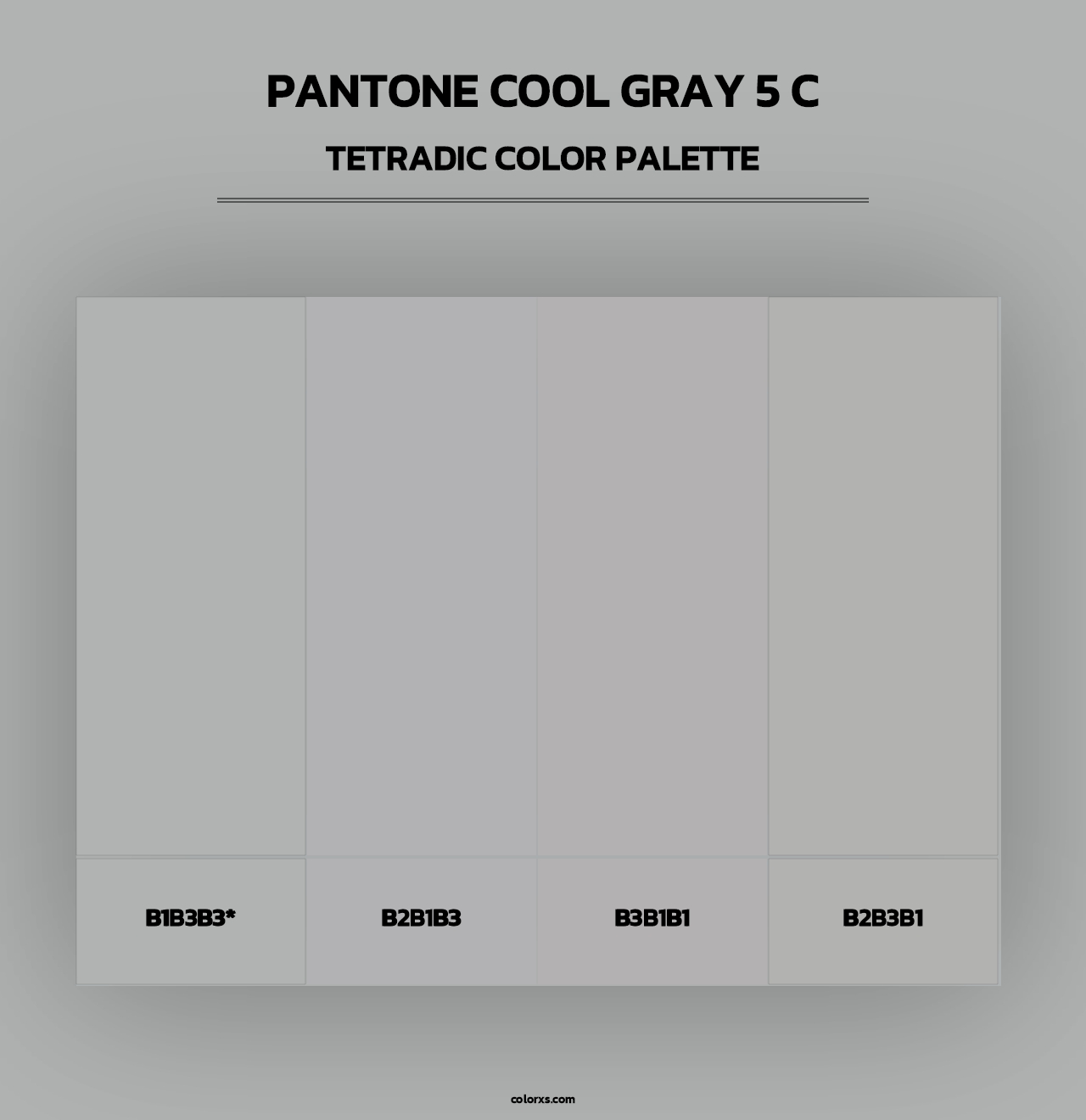 PANTONE Cool Gray 5 C - Tetradic Color Palette