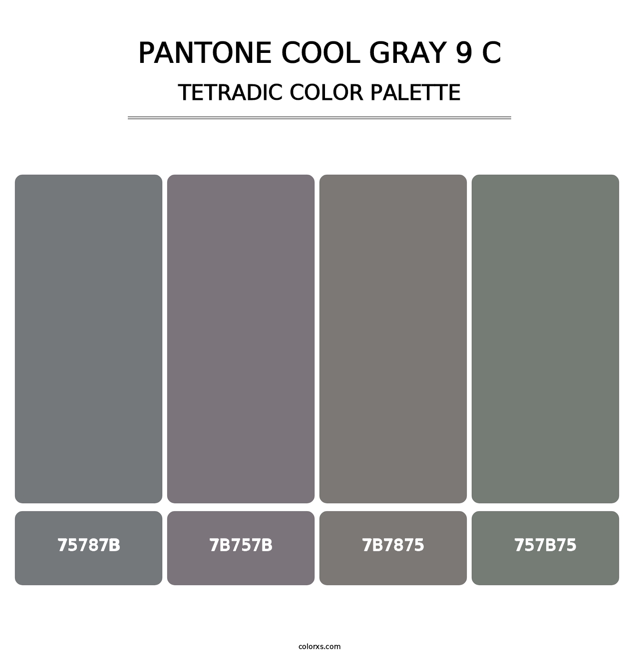 PANTONE Cool Gray 9 C - Tetradic Color Palette