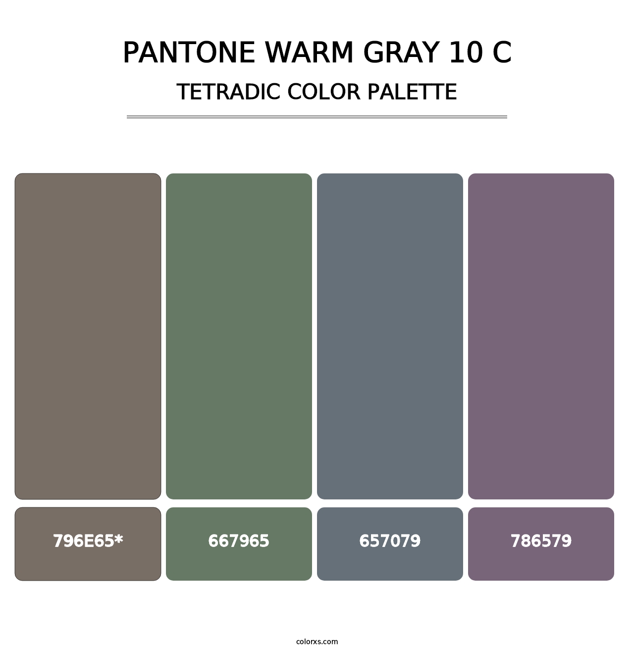 PANTONE Warm Gray 10 C - Tetradic Color Palette