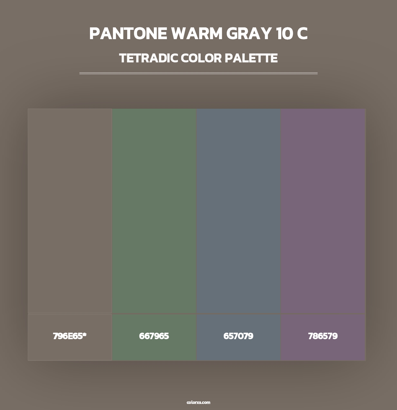 PANTONE Warm Gray 10 C - Tetradic Color Palette