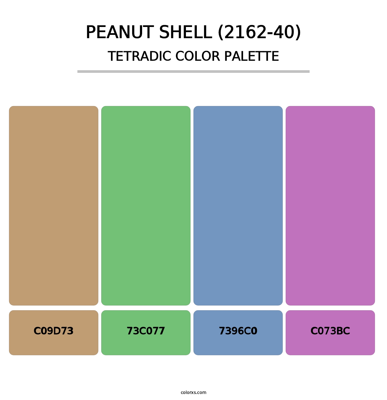 Peanut Shell (2162-40) - Tetradic Color Palette